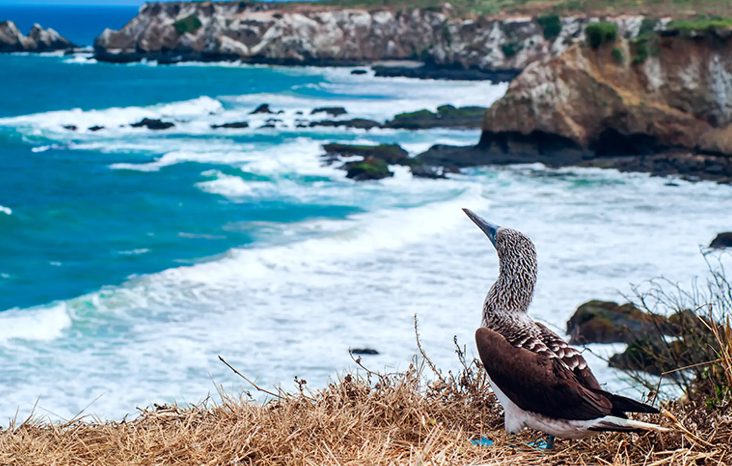 Islas Galápagos, Ecuador